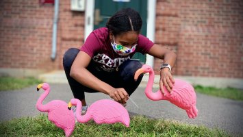 A student tends to plastic flamingoes on the Brancroft dorm lawn.